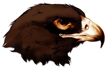Eagle Logo